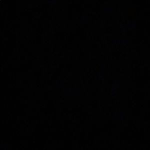 Meet your Posher, Maddison